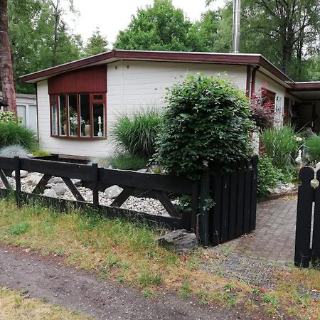 Вілла Sfeervol, Ruim En Luxe Chalet In Bosrijke Omgeving Diessen Екстер'єр фото