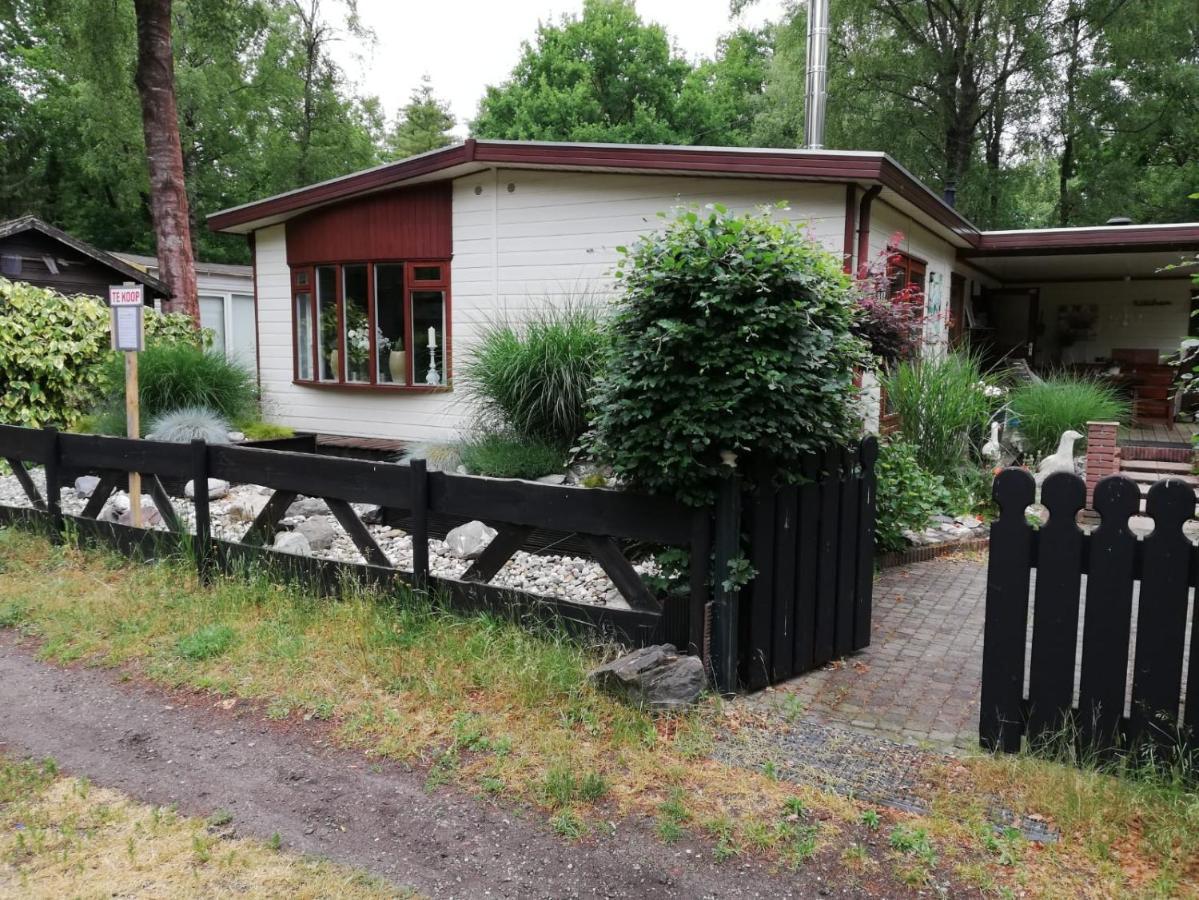 Вілла Sfeervol, Ruim En Luxe Chalet In Bosrijke Omgeving Diessen Екстер'єр фото